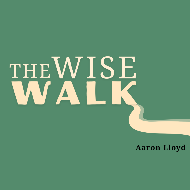 [The Wise Walk] Step 1 in Gratitude